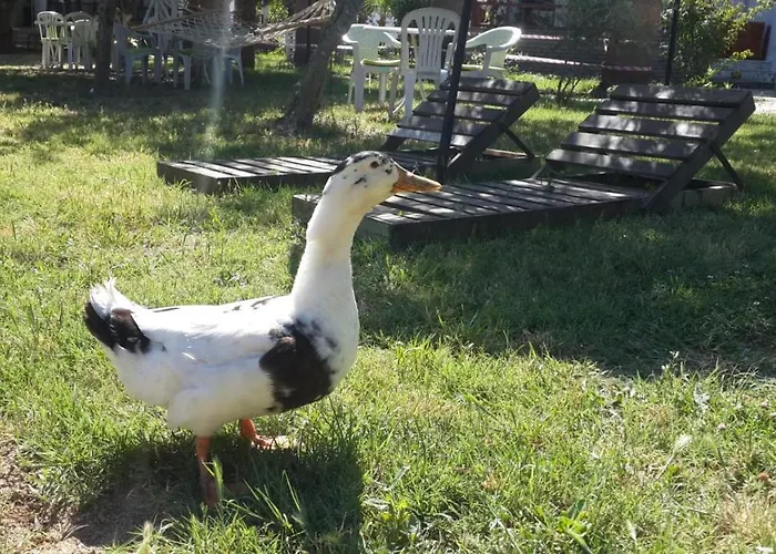 Aparthotel Alfa Bodrum