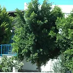 아파트호텔 알파 아파트먼트 오텔 Bodrum
