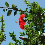 아파트호텔 알파 아파트먼트 오텔 Bodrum