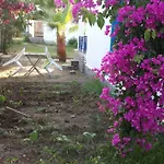 알파 아파트먼트 오텔 Bodrum