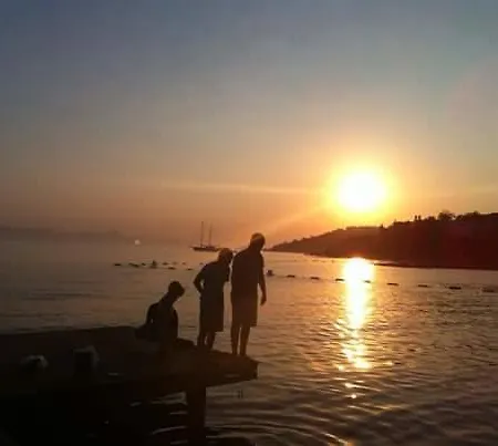 Alfa 3* Bodrum