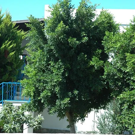 Apartmanhotel Alfa Bodrum