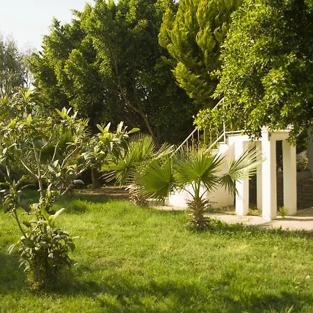 Alfa Bodrum