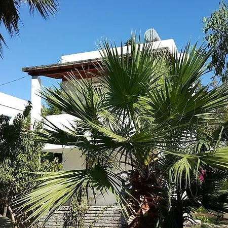 Alfa Aparthotel