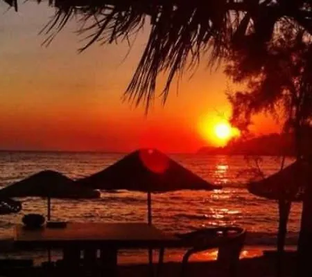 Alfa Bodrum