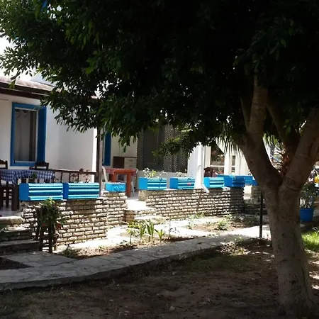 Alfa Bodrum