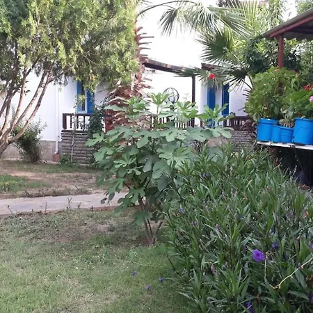 Alfa Aparthotel