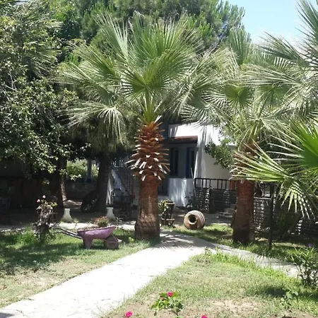 Apartmanhotel Alfa Bodrum