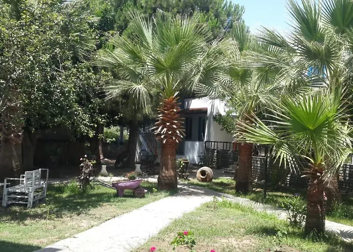 Hotel apartamentowy Alfa Bodrum