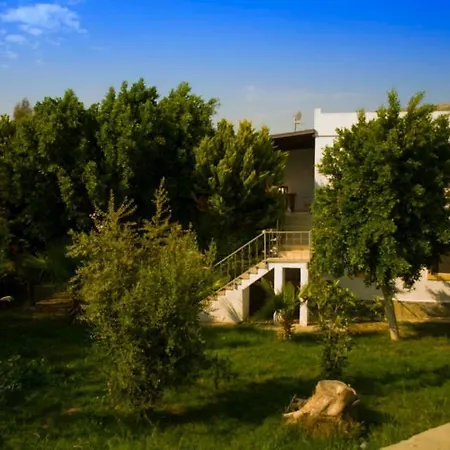 알파 아파트먼트 오텔 3*