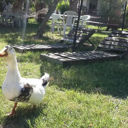 알파 아파트먼트 오텔 아파트호텔 Bodrum