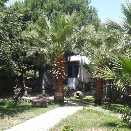 알파 아파트먼트 오텔 3* Bodrum