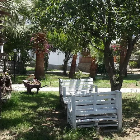 알파 아파트먼트 오텔 3* Bodrum