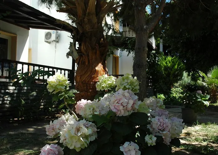 Alfa Bodrum