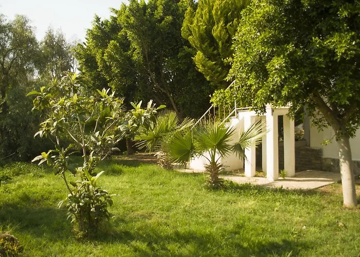 Alfa Bodrum