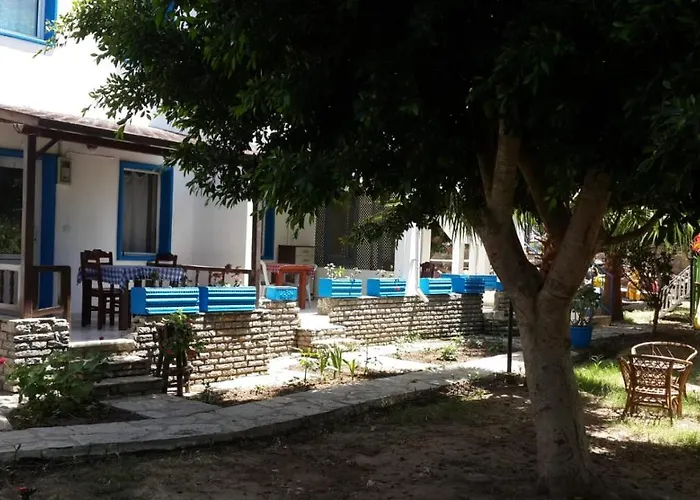 Alfa Αλικαρνασσός