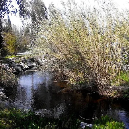アパートホテル Alfa ボドルム