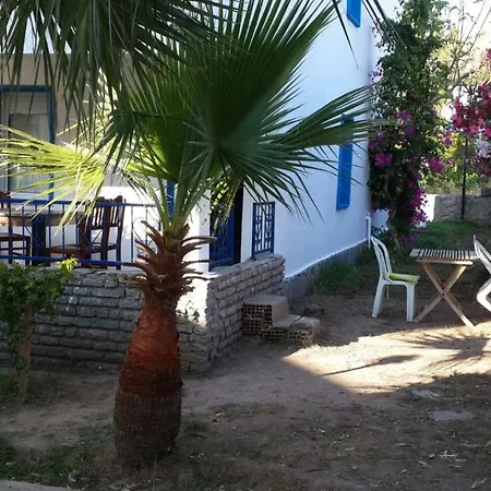 Alfa מלון דירות בודרום